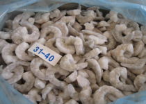 冷冻冰鲜品招商 携手共赢，开启海鲜财富新篇章